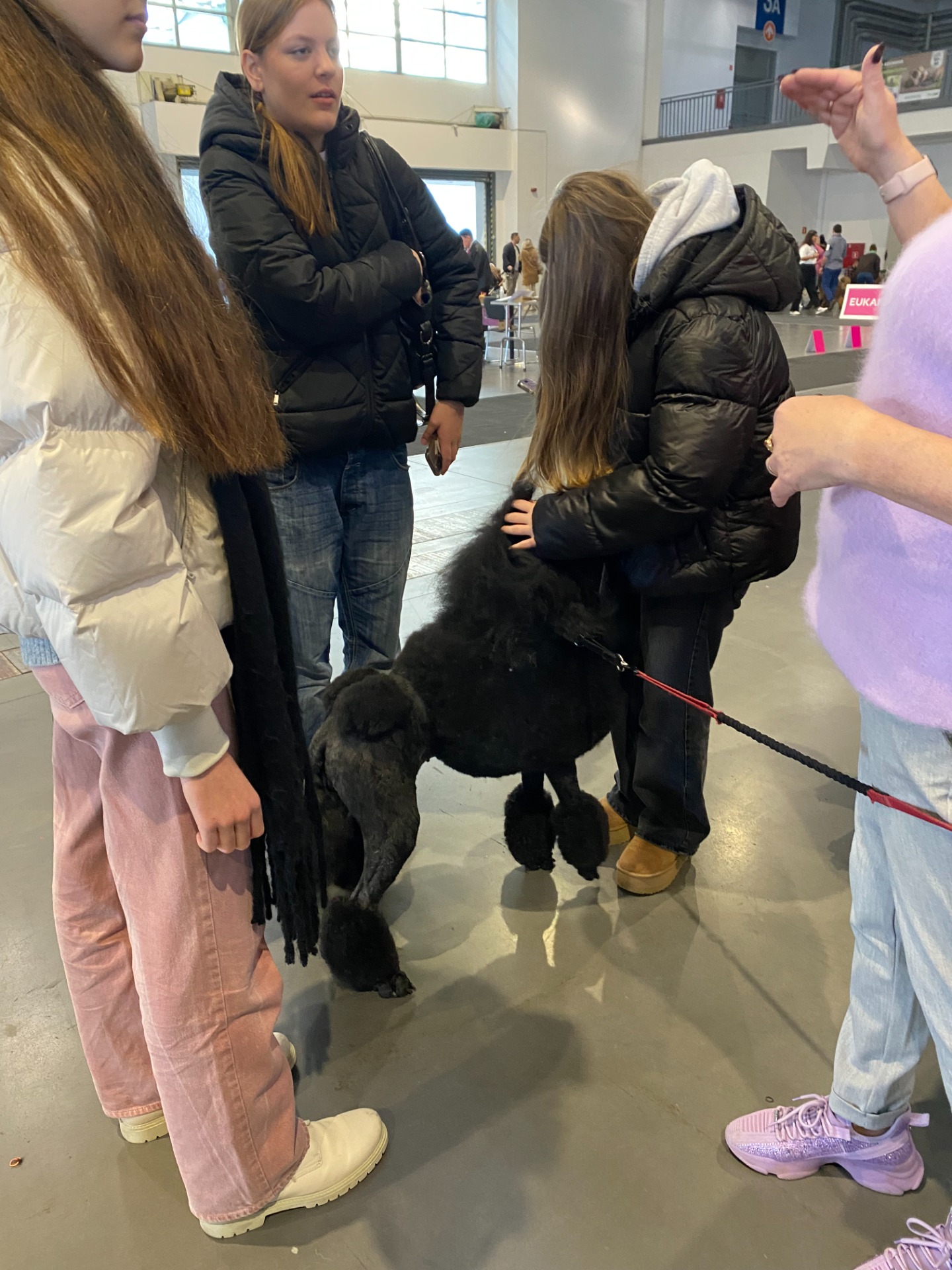 Flere ville hilse på Candy :)