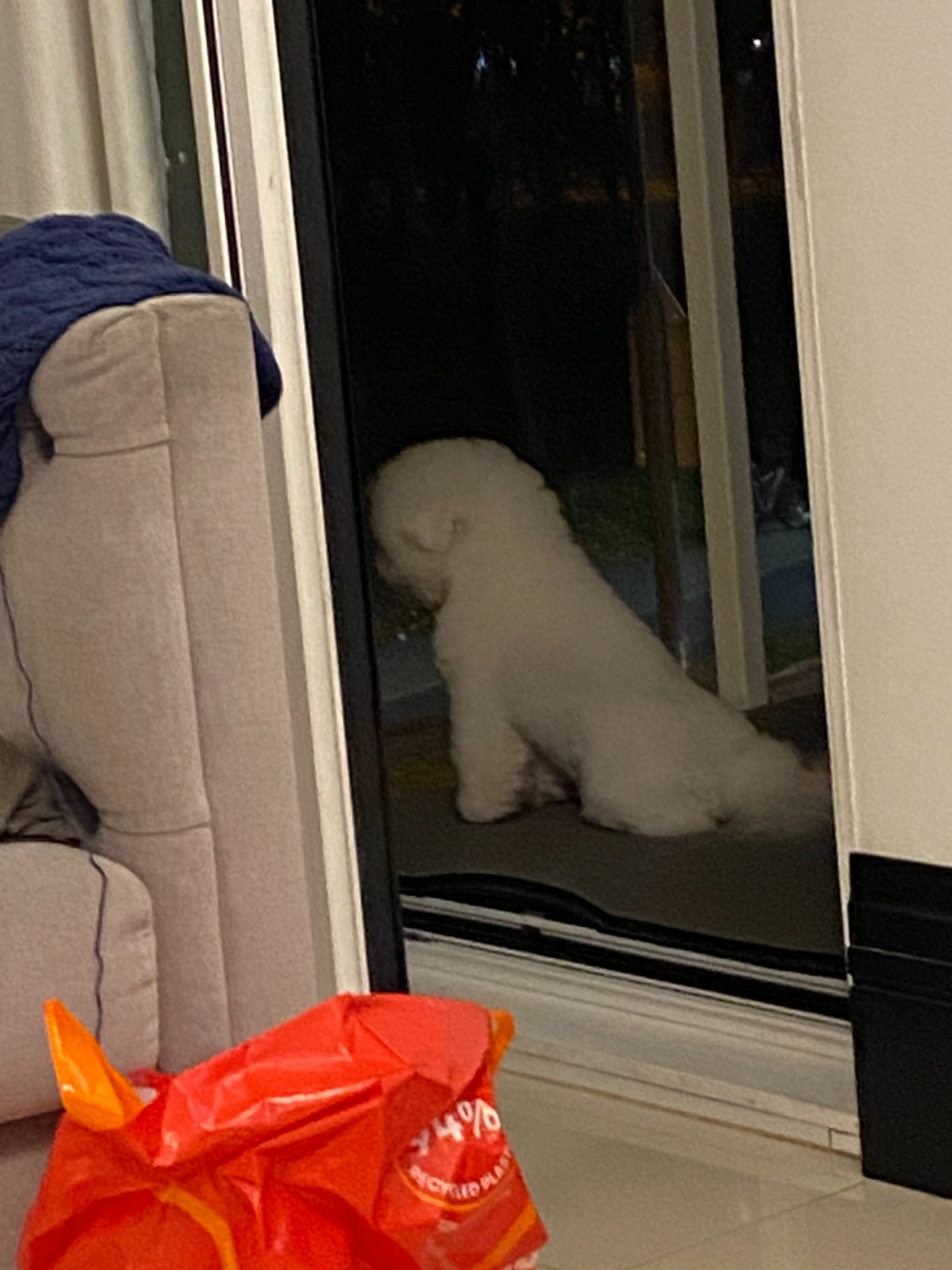 Molly kikker på utelivet i Poznan :)