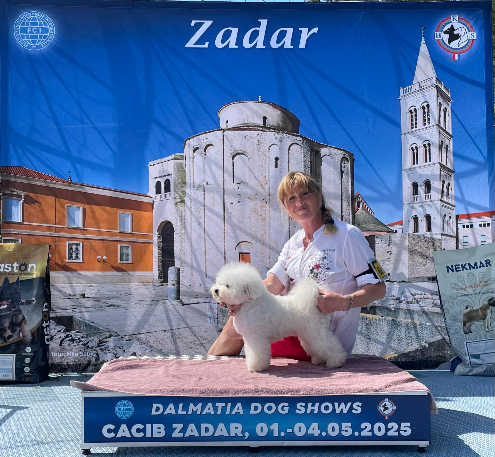 Petit Ami`s The Power of Love